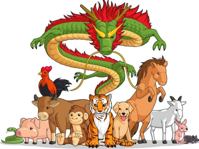 So De 12 Con Giap – Bi Kip Soi Cau Chuan Nam Chac Chien Thang