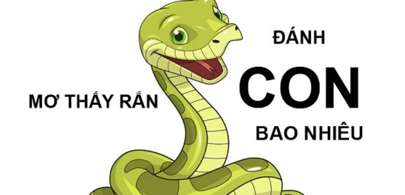 Y Nghia Cua So De Con Ran